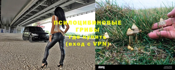 крисы Абинск