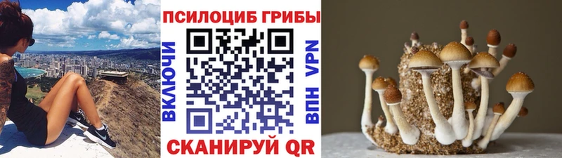 Галлюциногенные грибы прущие грибы  цена   Калачинск 